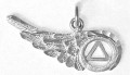 AA wing pendant